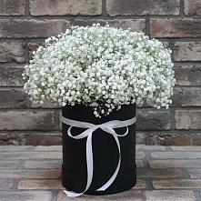 Цветочная композиция из Гипсофила в шляпной коробке в Вышестеблиевской