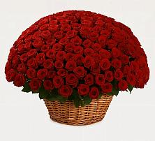 Премиум букет из: Розы в Вышестеблиевской